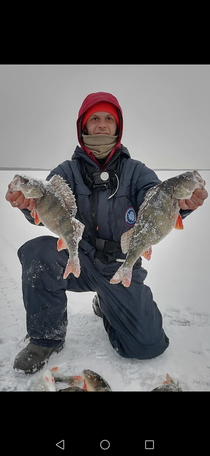  42210430   , 35 ,    -