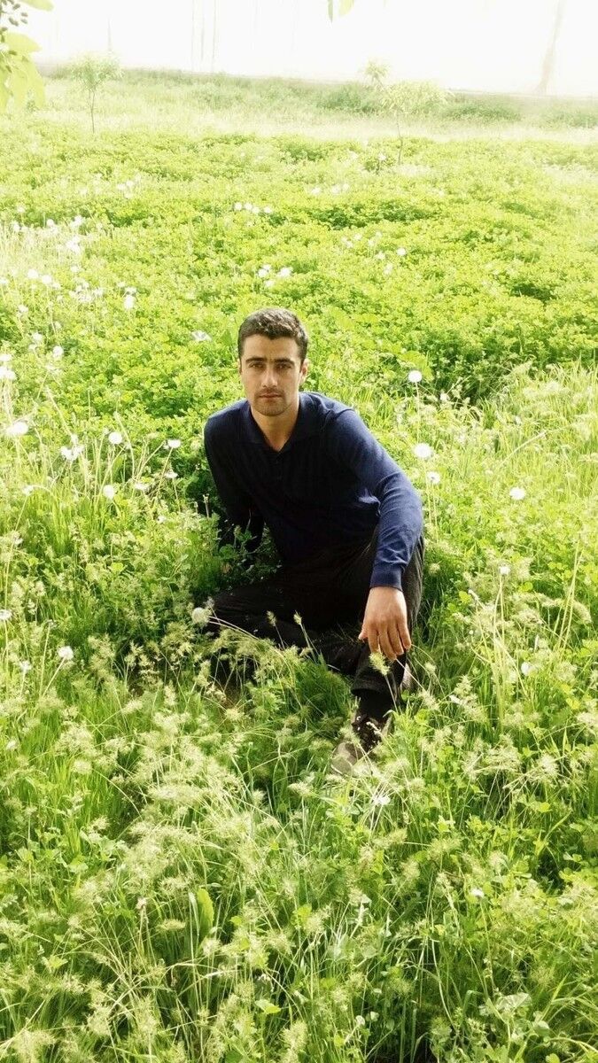 ���������� �����-���������, ���� ������� �������, 34 ����, ������������ ��� ������, ����� � ���������, c�������� ���������