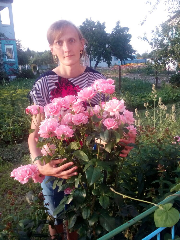  ,   , 44 ,  
