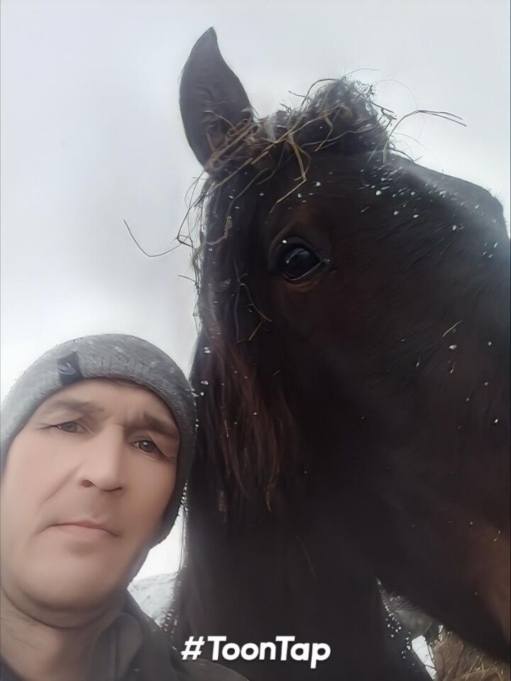 ���� 55282090 ������� ����, 45 ���, ���� ���������� � �������