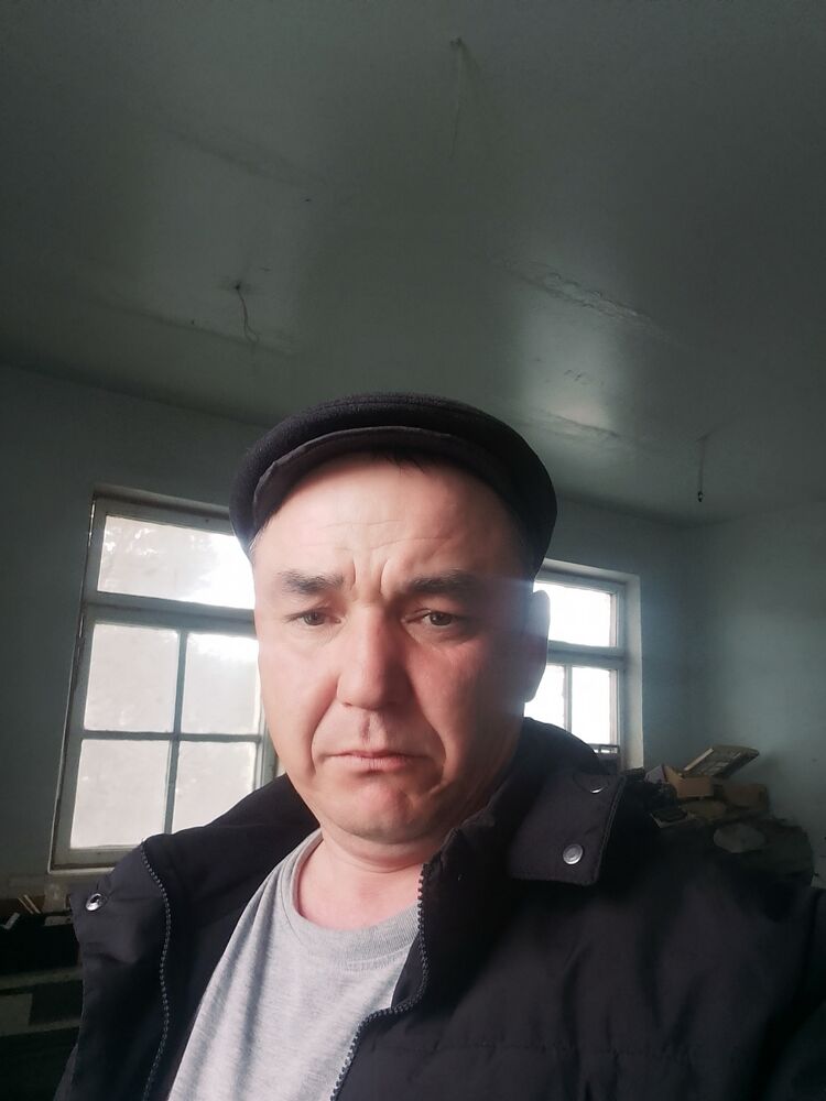 ���� 56043610 ������� ������, 41 ���, ���� ���������� � ����