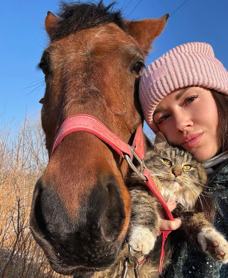  49567380  , 30 ,    --