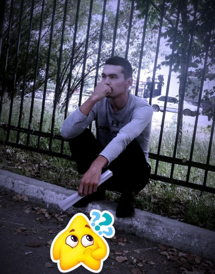 ���������� ���������, ���� ������� ���, 33 ����, ������������ 