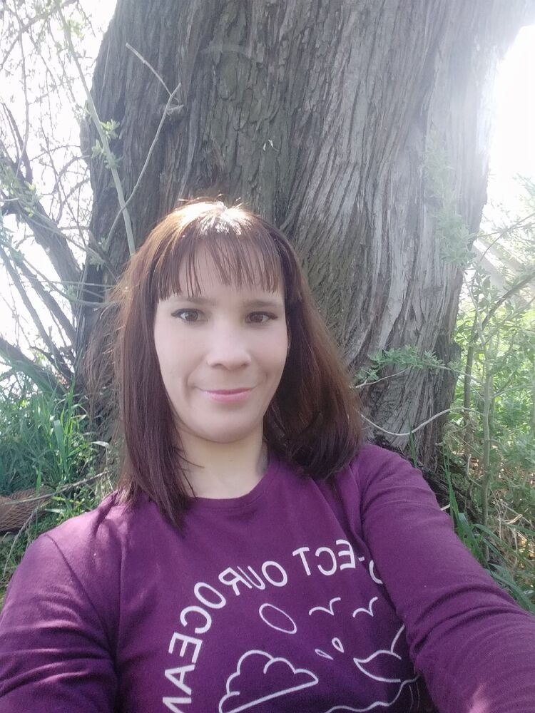 ���� 24624590 ������� �������, 33 ����, ���� ���������� � �����������