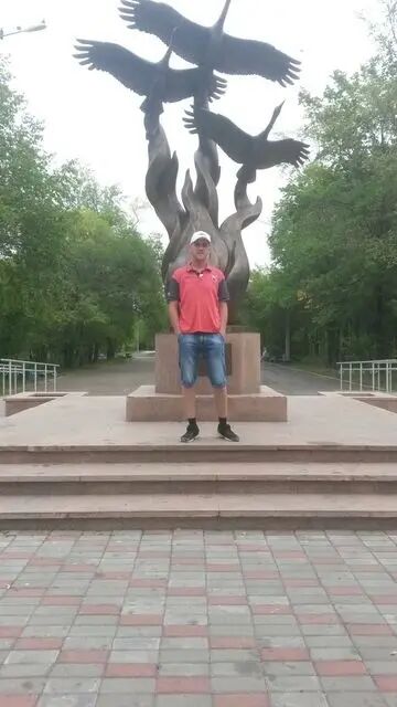  31377080  , 44 ,    