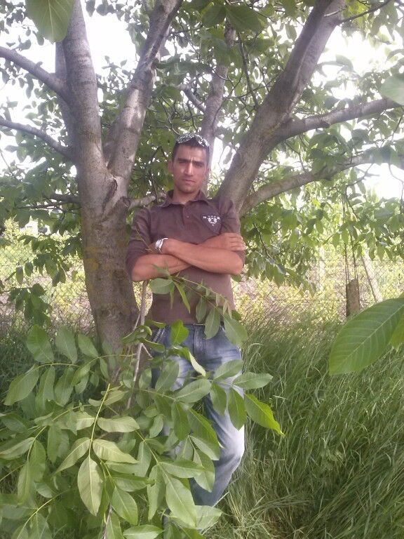  17355260  Andri, 38 ,    