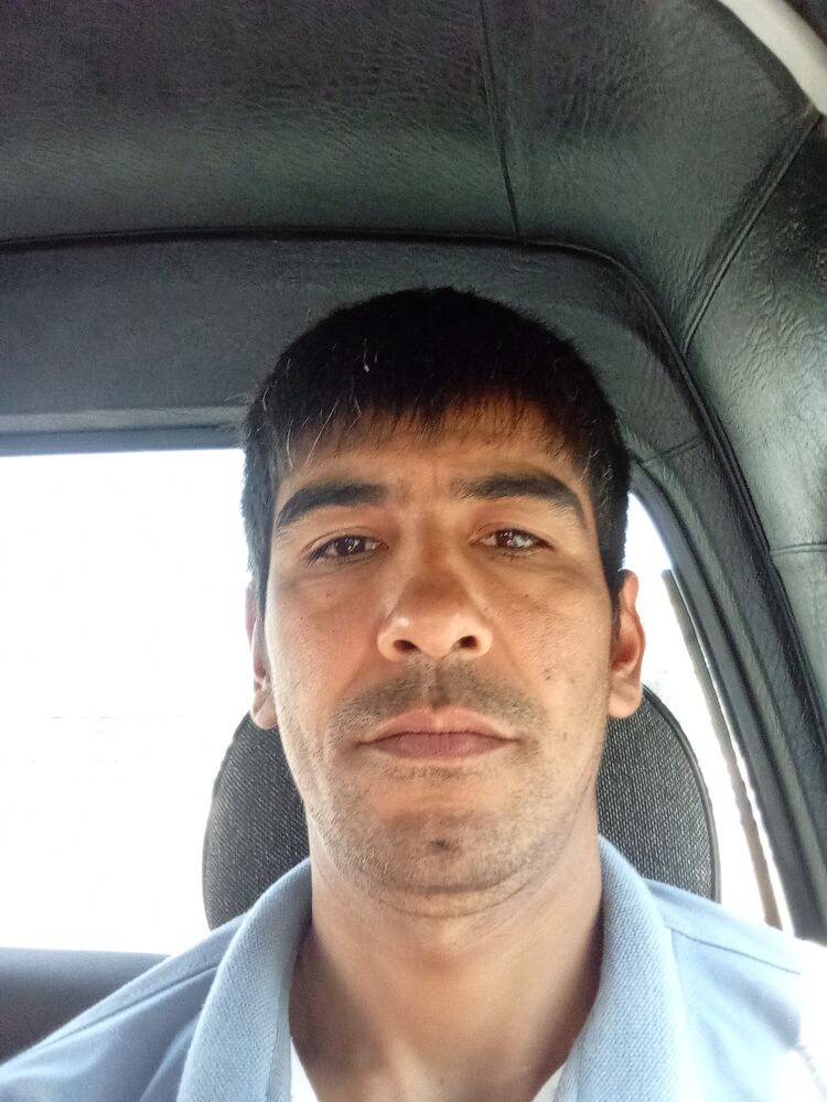 ���� 50768730 ������� �������, 36 ���, ���� ���������� � ������