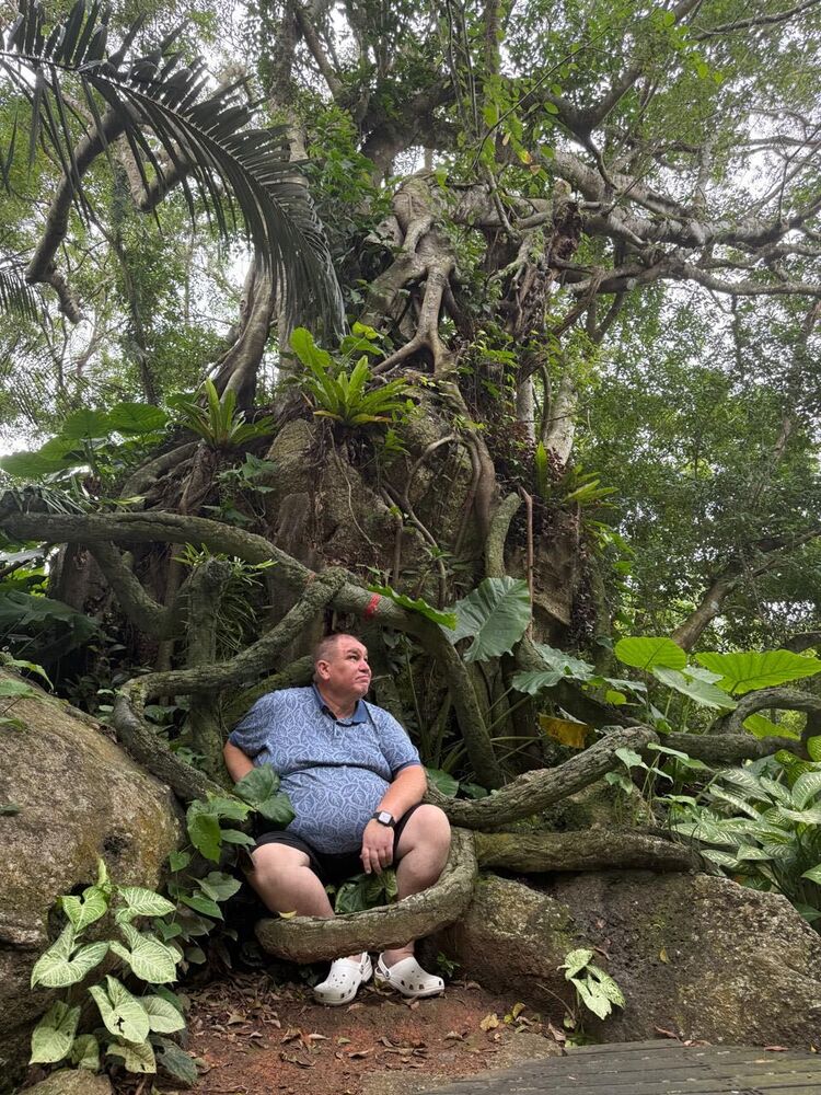 ���������� ���������� �����, ���� ������� �������, 53 ����, ������������ ��� c�������� ���������