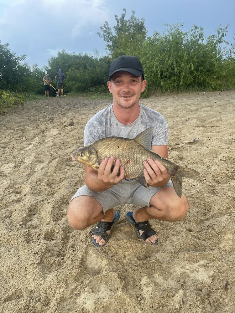 ���� 56092390 ������� Dmytro, 26 ���, ���� ���������� � ������