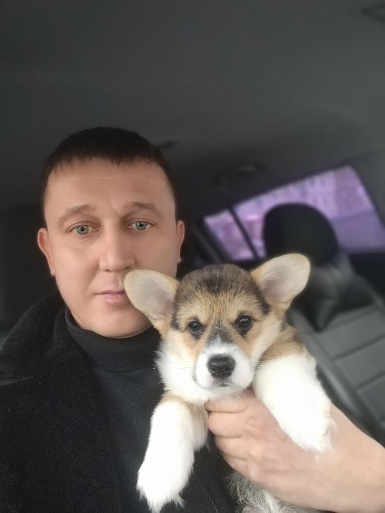 ���� 54967120 ������� ������, 33 ����, ���� ���������� � ������