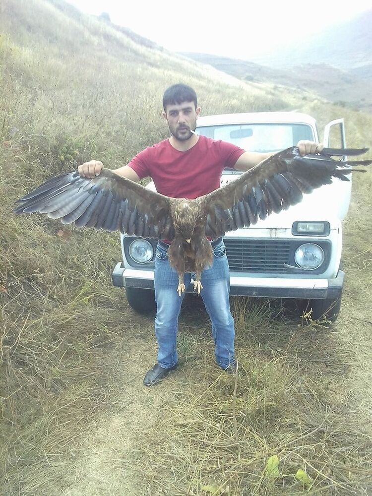 ���� 13775930 ������� VALER, 33 ����, ���� ���������� � �������