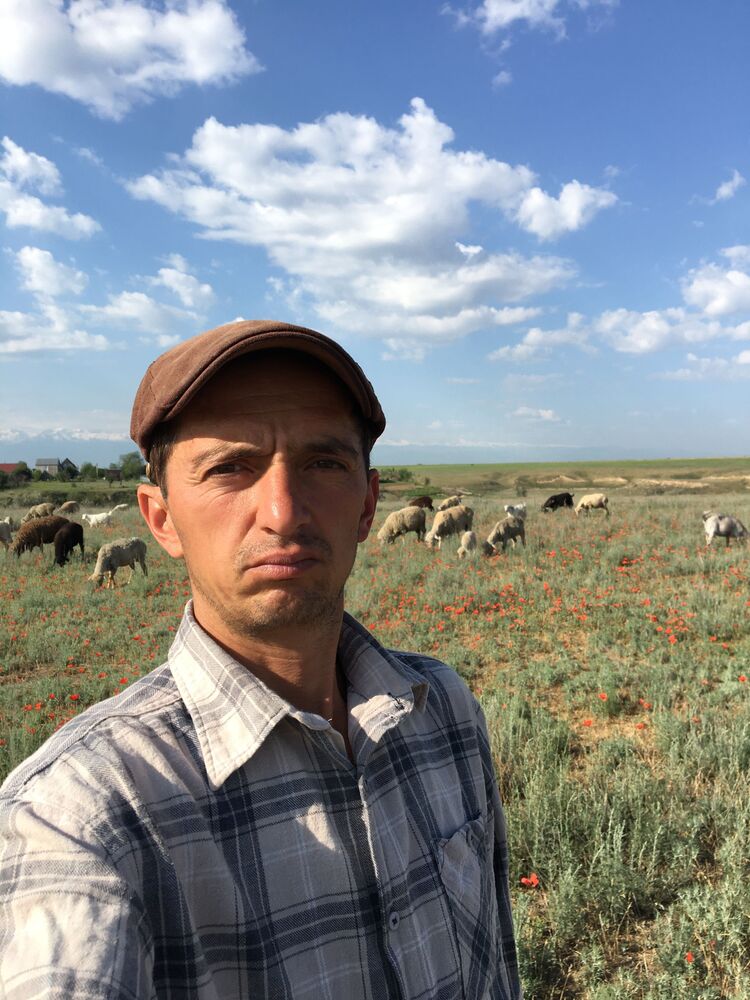  ,   , 43 ,   ,   , c , 