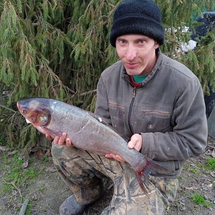 ���� 44372320 ������� ������, 35 ���, ���� ���������� � ����������