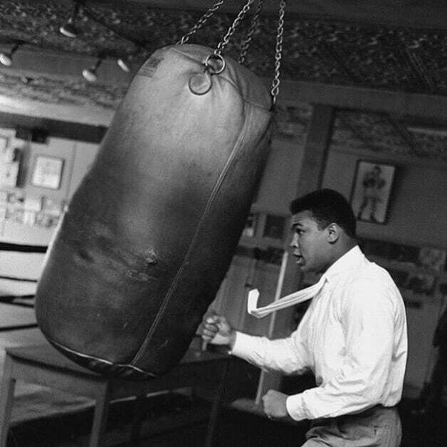 ���� 26978140 ������� ����, 33 ����, ���� ���������� � ����������