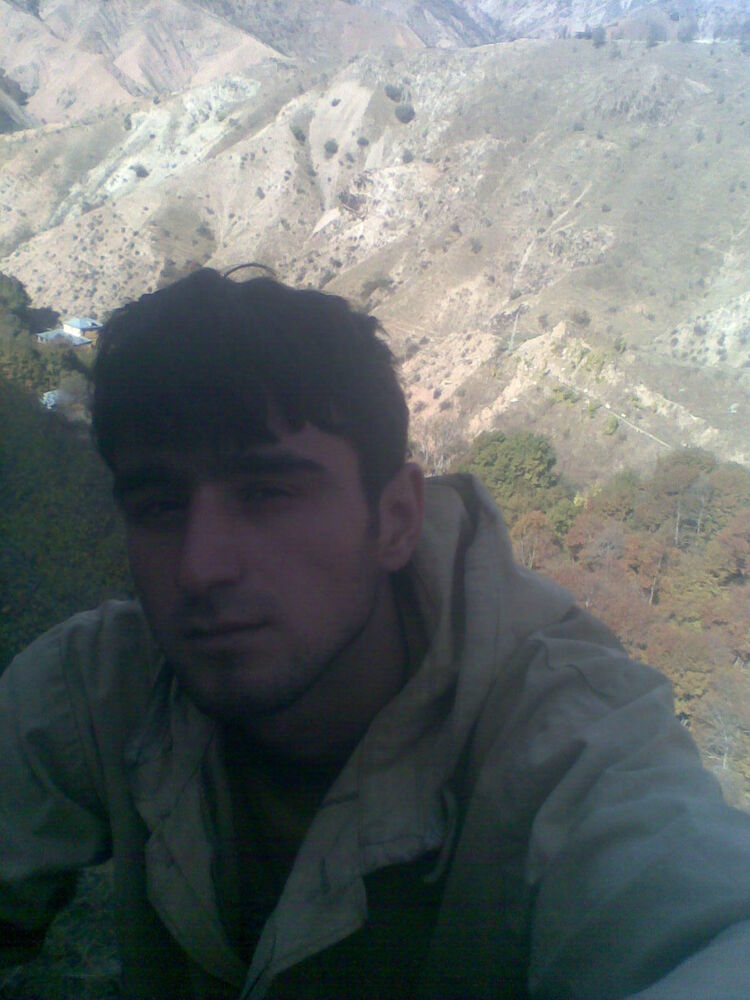  42408630  , 31 ,    