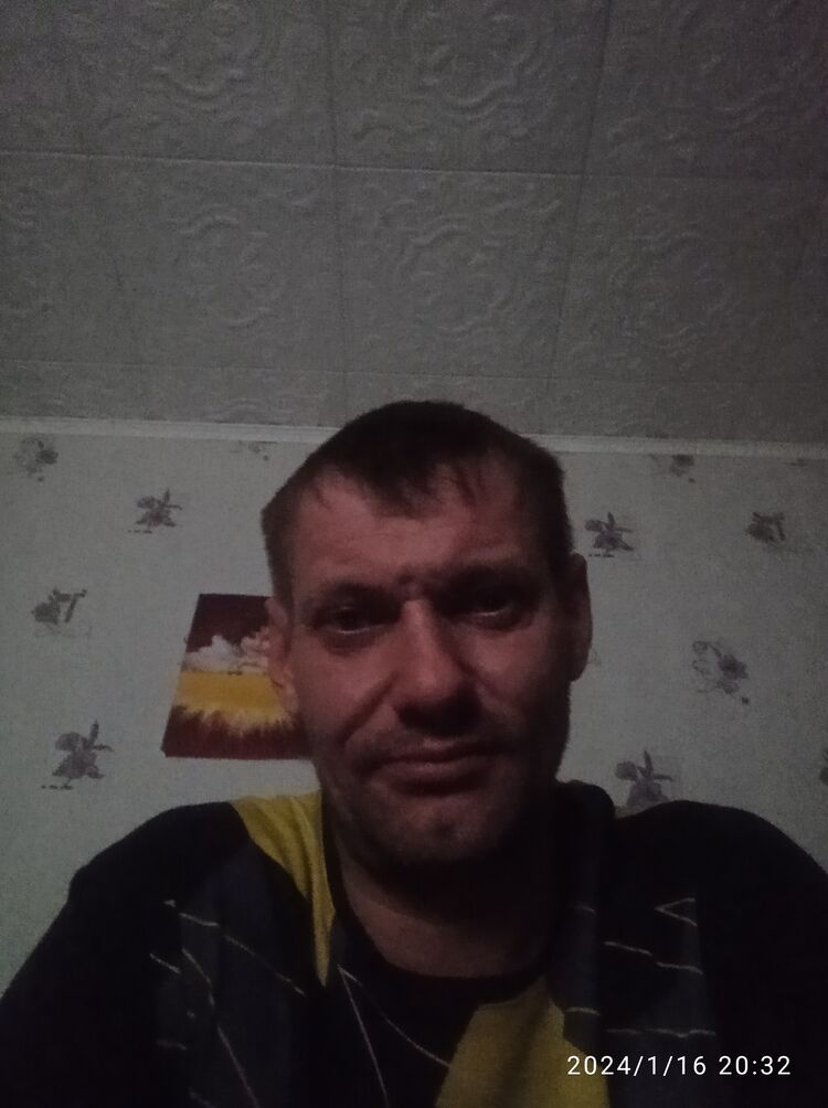  40597660  , 46 ,    