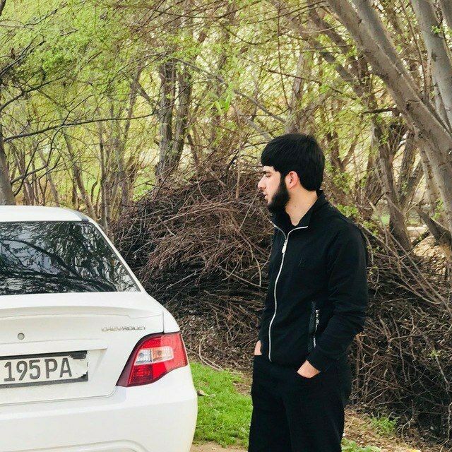  43246050  , 24 ,    -