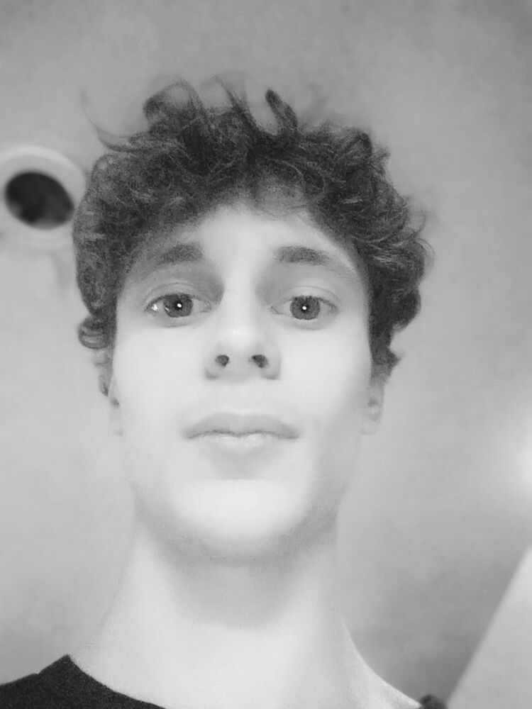  15597040  , 24 ,    