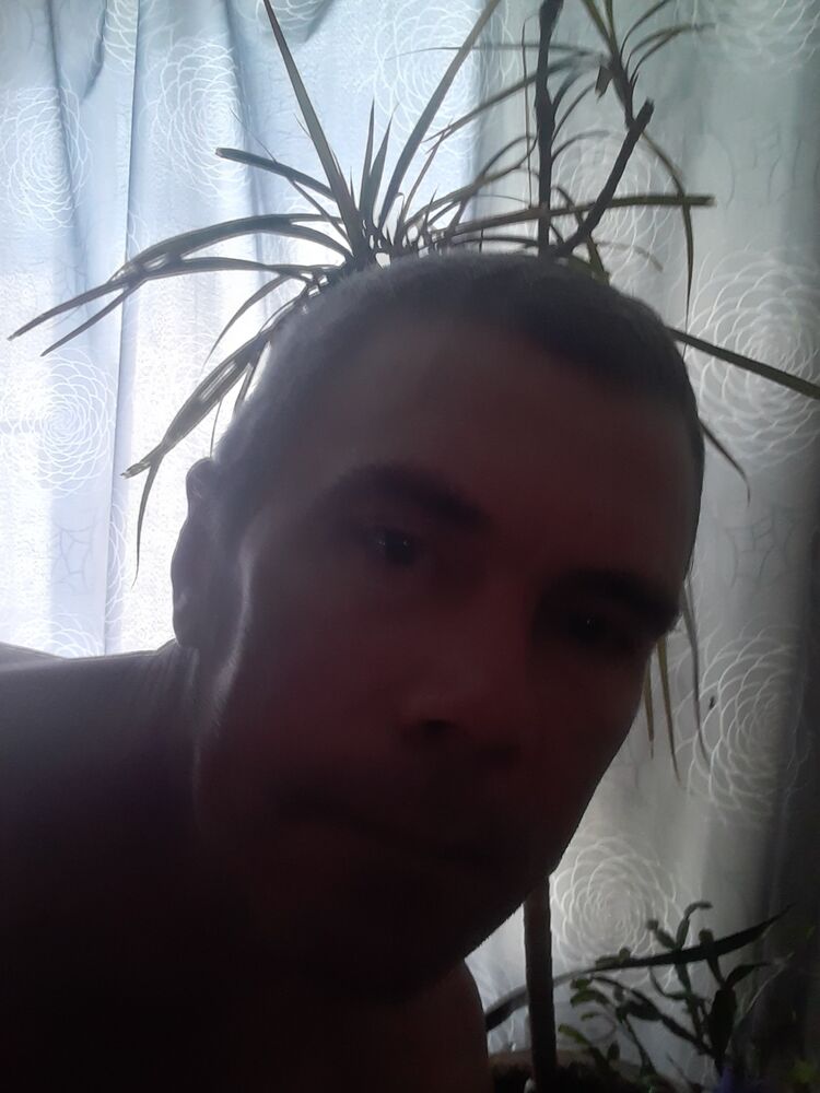  45340830  , 51 ,    