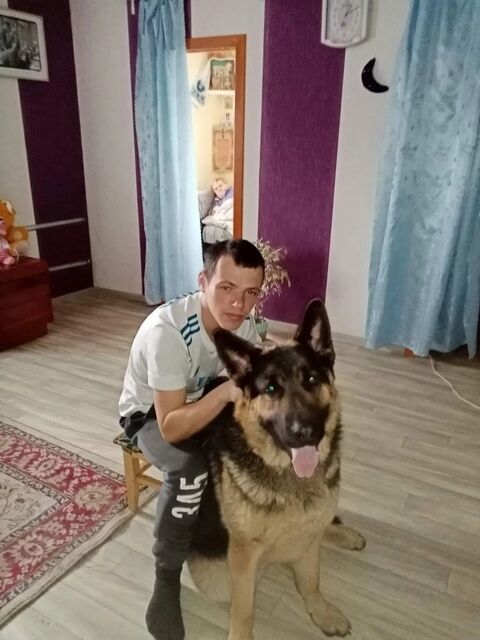  45588430  , 28 ,    