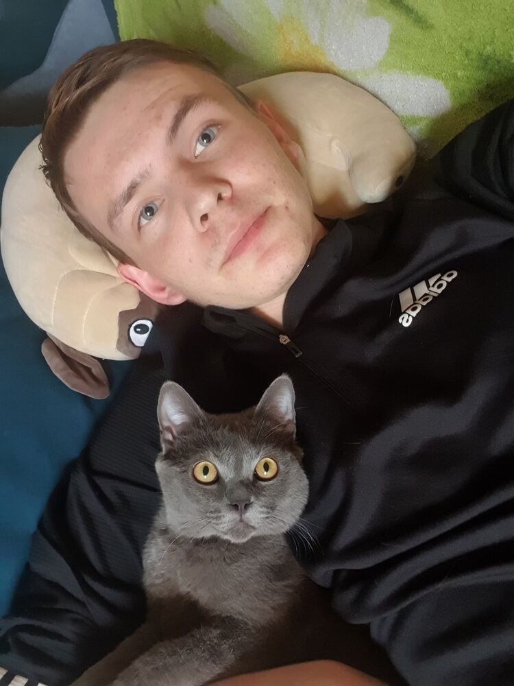  ,   , 22 ,   ,   , 
