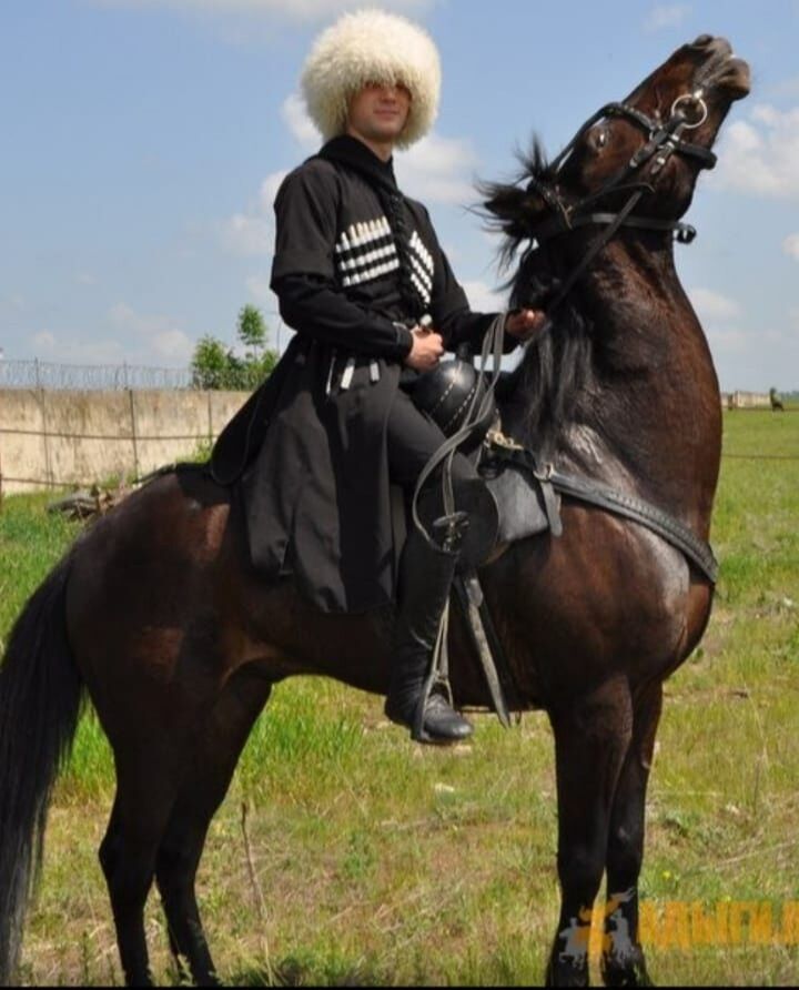  31492570  Egor, 52 ,    -