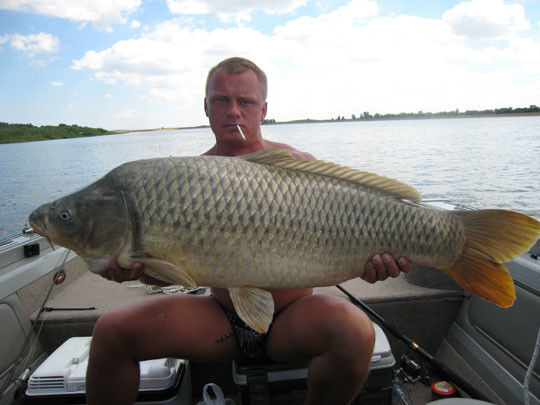 ���� 5850840 ������� �������, 51 ���, ���� ���������� � ������