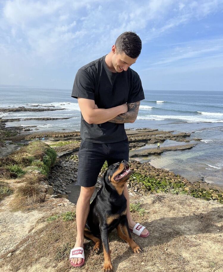 ���������� �����-���������, ���� ������� ����, 36 ���, ������������ ��� ������, ����� � ���������