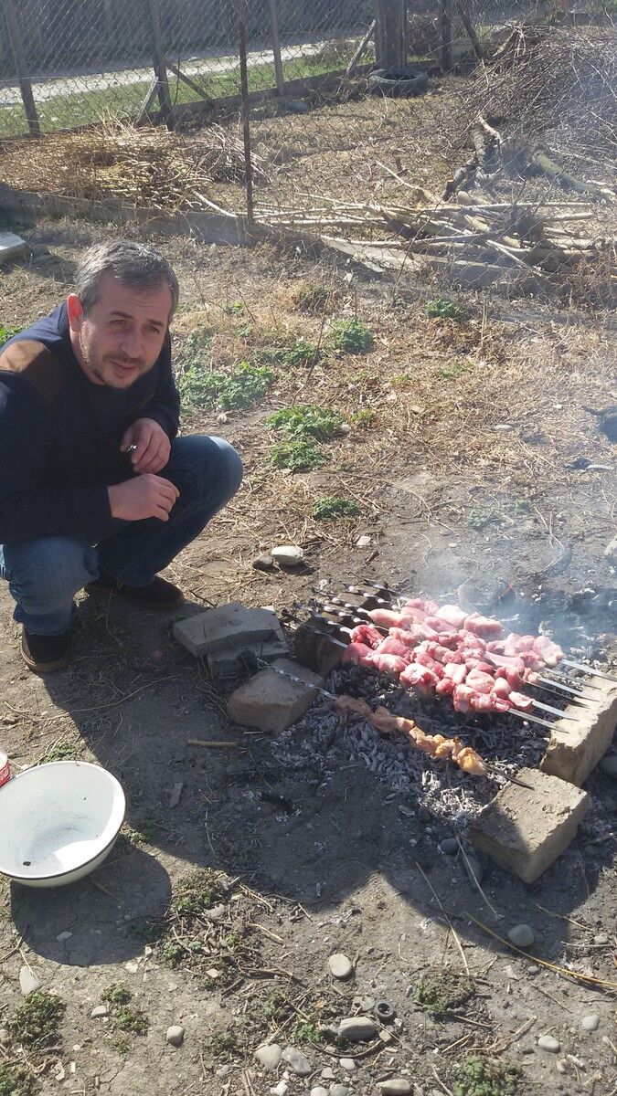 ���� 8445790 ������� Dato, 50 ���, ���� ���������� � �������