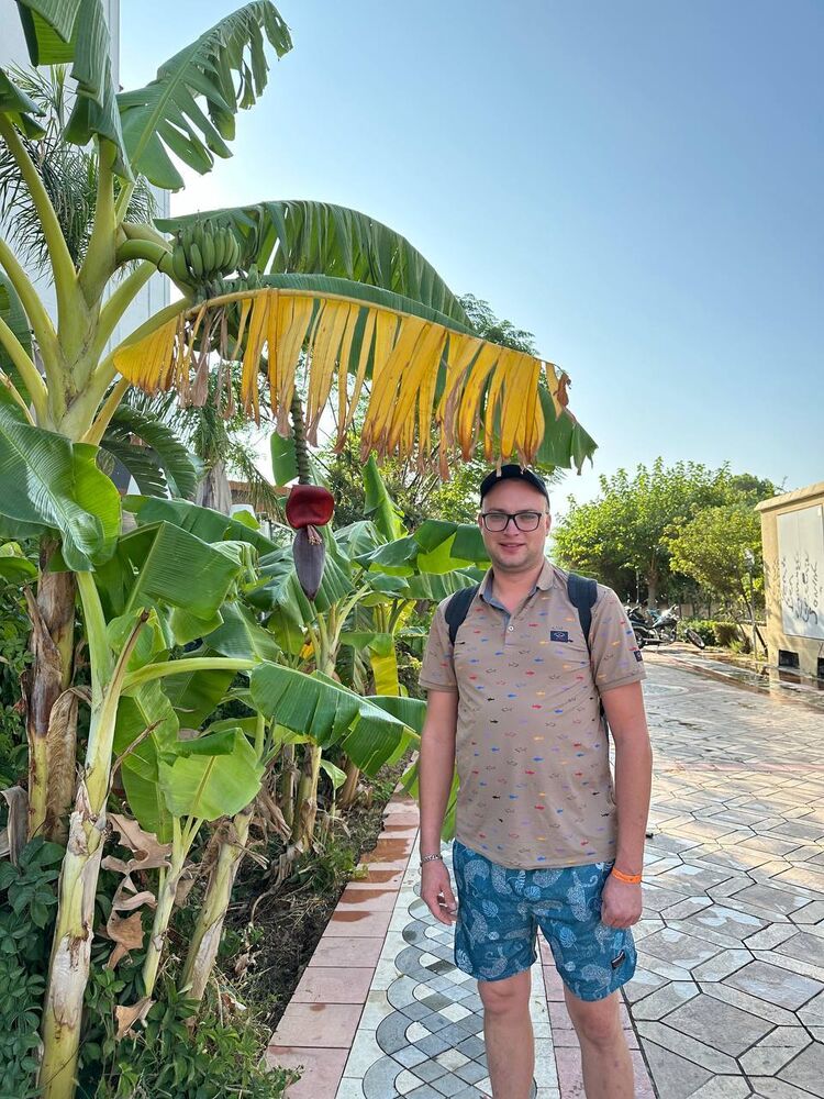 ���� 39247220 ������� ������, 31 ���, ���� ���������� � ����������