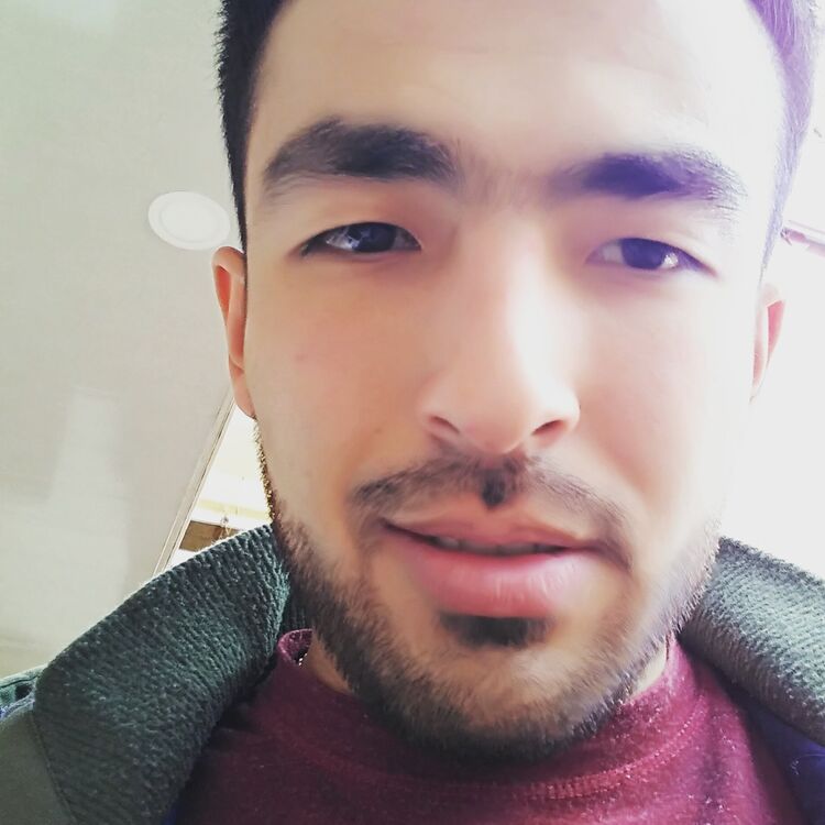 ���� 55579670 ������� ����, 30 ���, ���� ���������� � ����