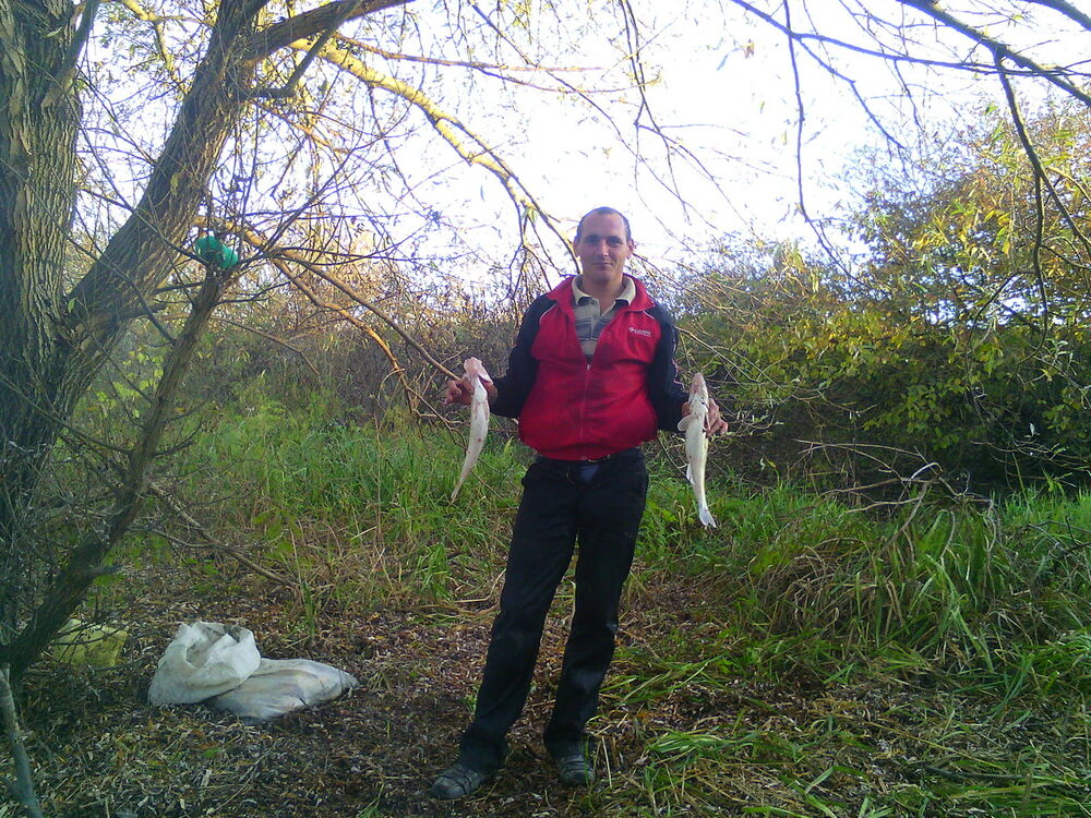 ���� 5280080 ������� ���������, 41 ���, ���� ���������� � �������