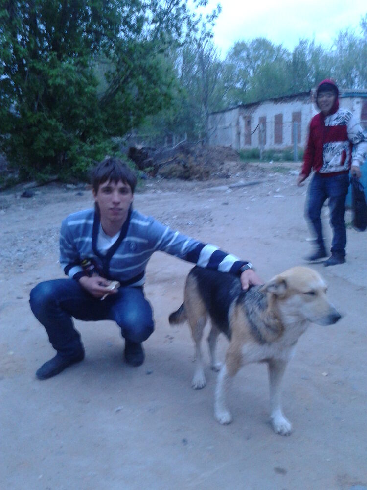 ���� 4142450 ������� ������, 32 ����, ���� ���������� � ���������