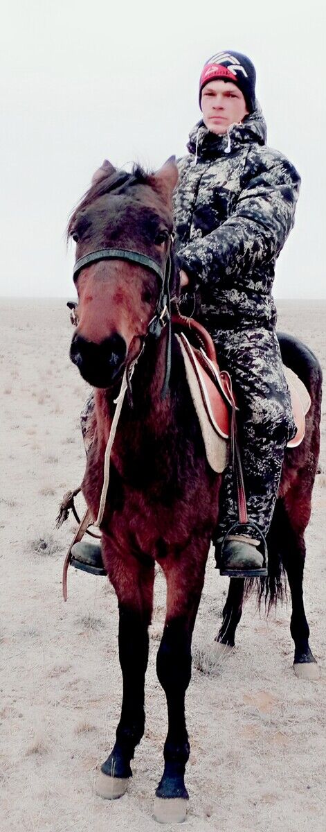 ���������� ���������, ���� ������� ����, 33 ����, ������������ ��� ������, ����� � ���������