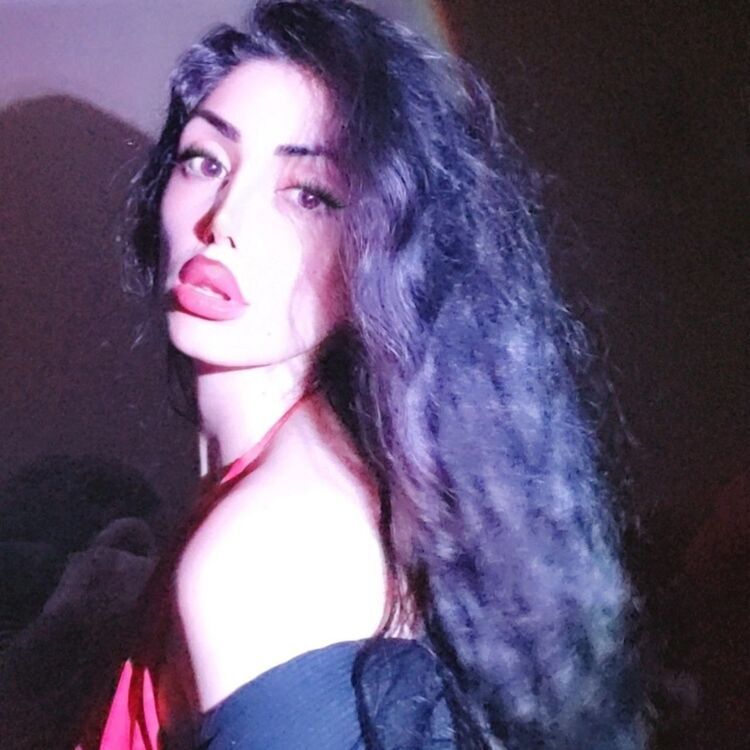  53868460  Arcax, 21 ,    