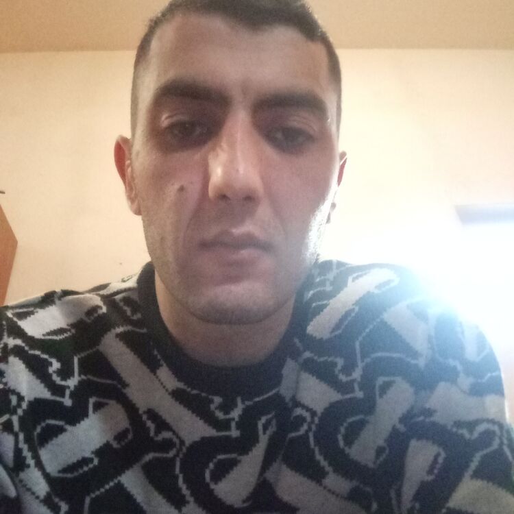  50464580  , 41 ,    --