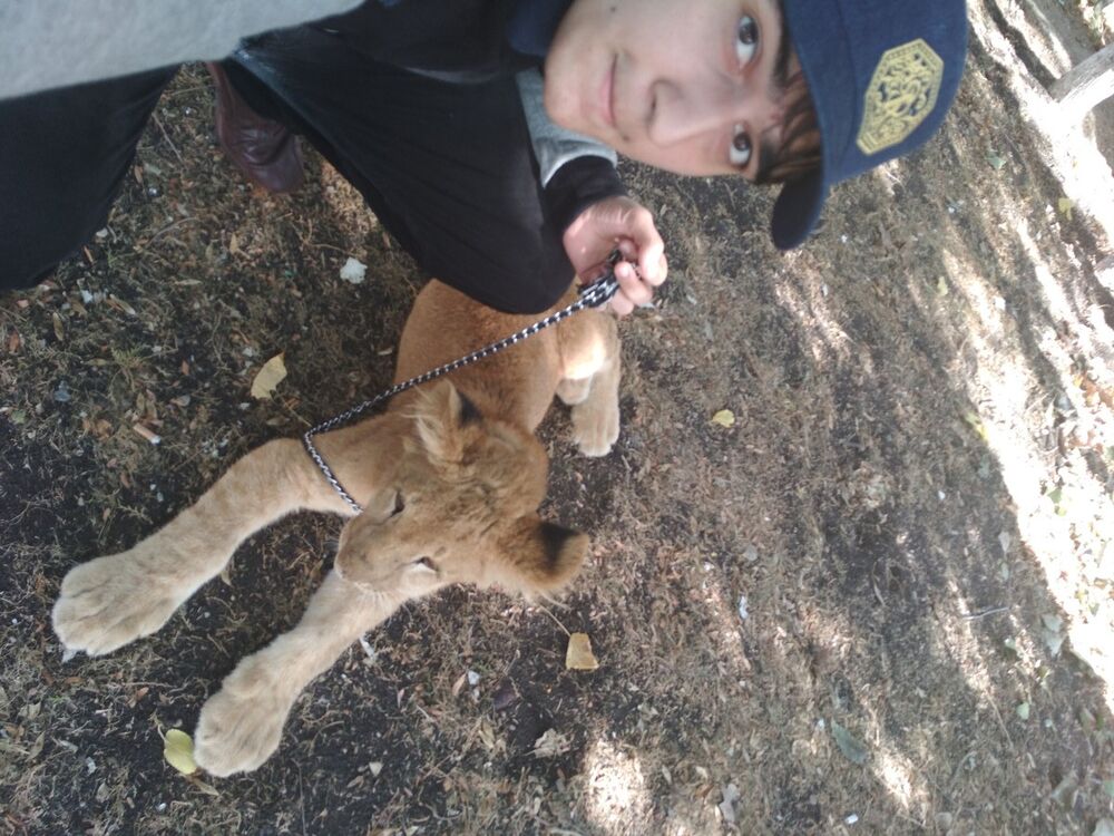 ���� 17597260 ������� ����, 27 ���, ���� ���������� � ���������