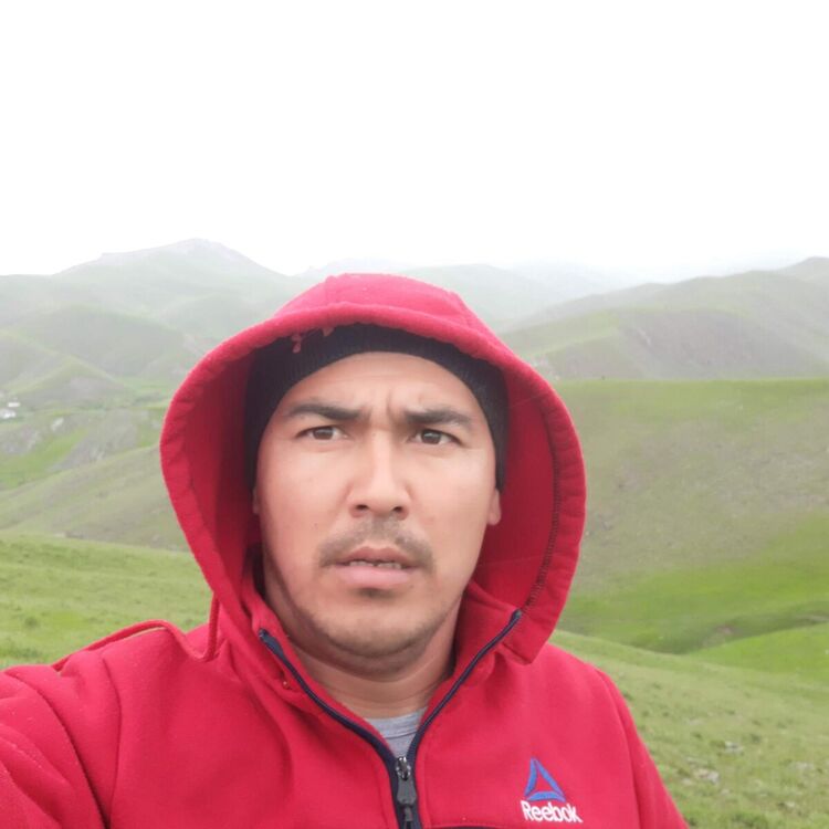 ���������� �����������, ���� ������� �����, 40 ���, ������������ ��� ������, ����� � ���������, c�������� ���������, ���������