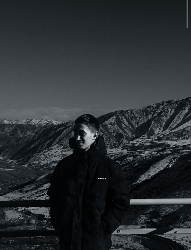 ���� 55291700 ����� ��������, 20 ���, ���� ���������� � ���