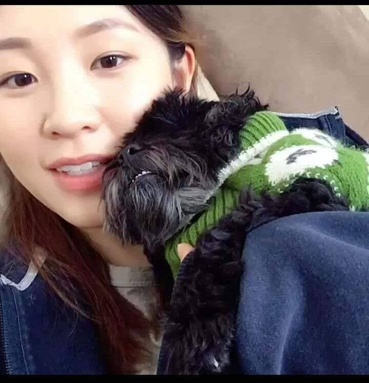 ���� 49442970 ������� ������ ����, 30 ���, ���� ���������� � ����������