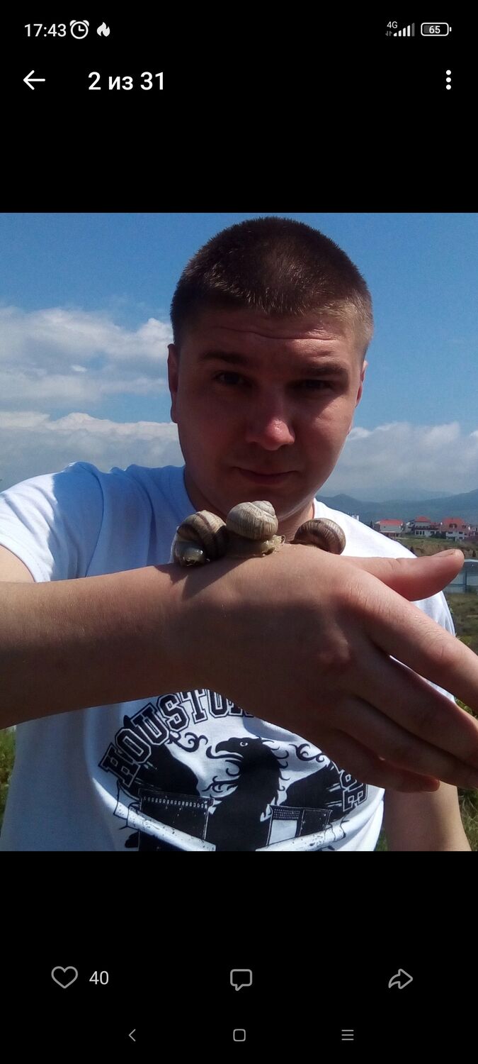 ���������� �����������, ���� ������� ����, 40 ���, ������������ ��� c�������� ���������