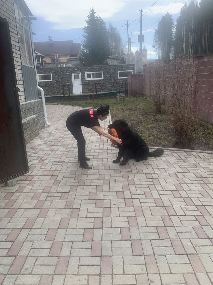  28752480  , 50 ,    