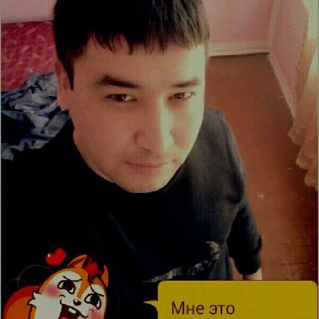  15646850  Roma, 38 ,    