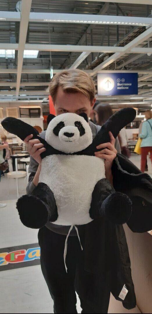 ���� 22283200 ������� �����, 26 ���, ���� ���������� � �����-����������