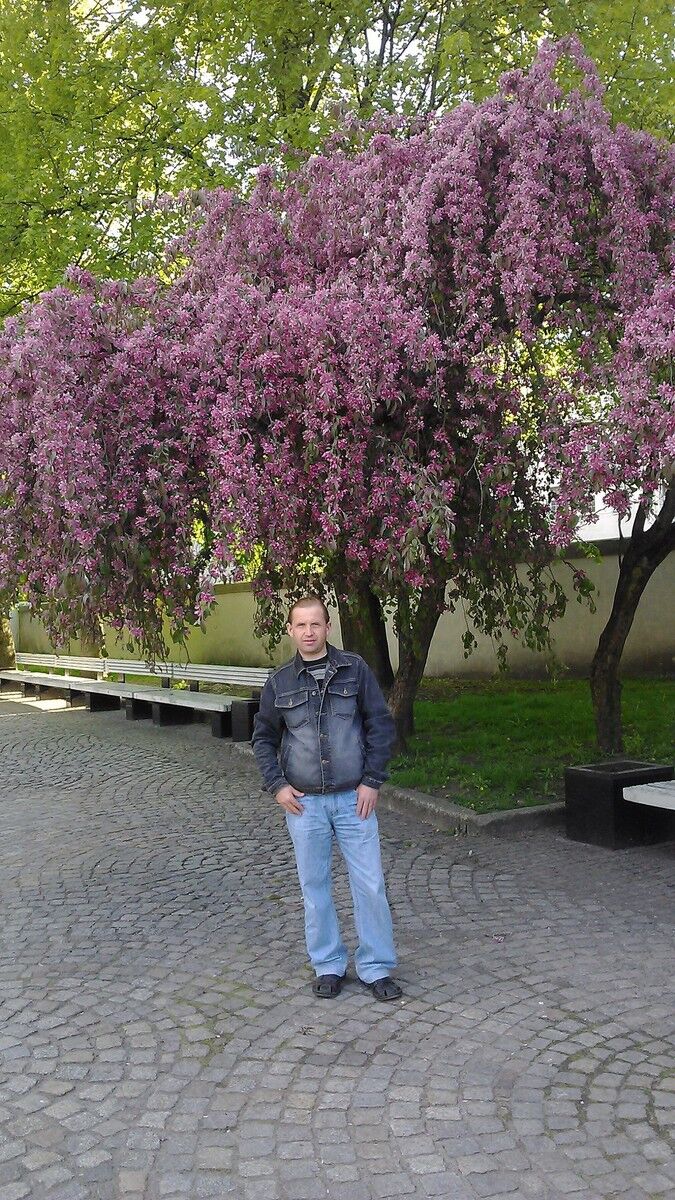  ,   , 52 ,     , c 