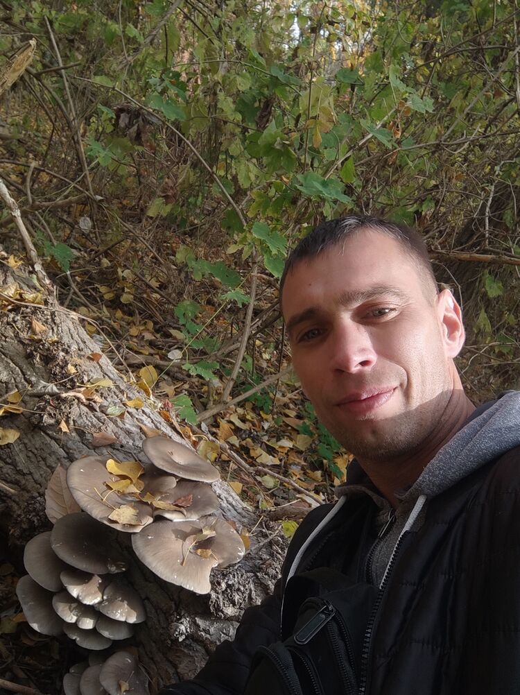  47525820  , 40 ,    
