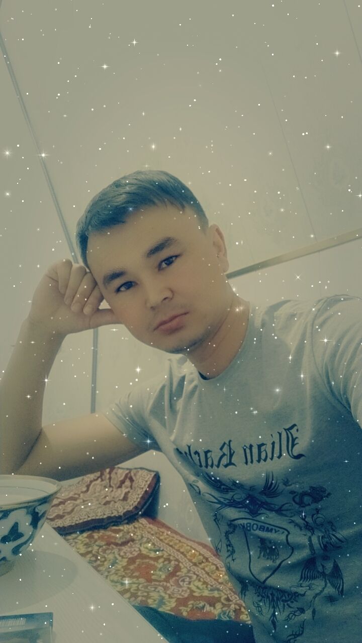  37680010  , 31 ,    