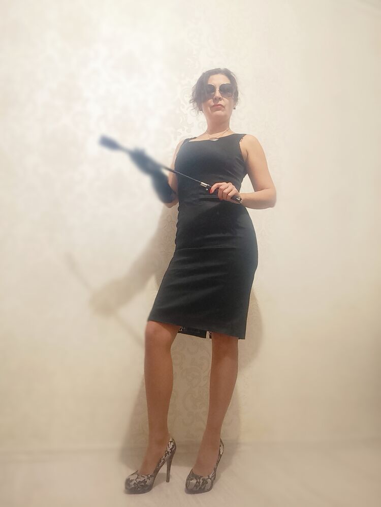 ���� 55272780 ������� Domina, 49 ���, ���� ���������� � ������