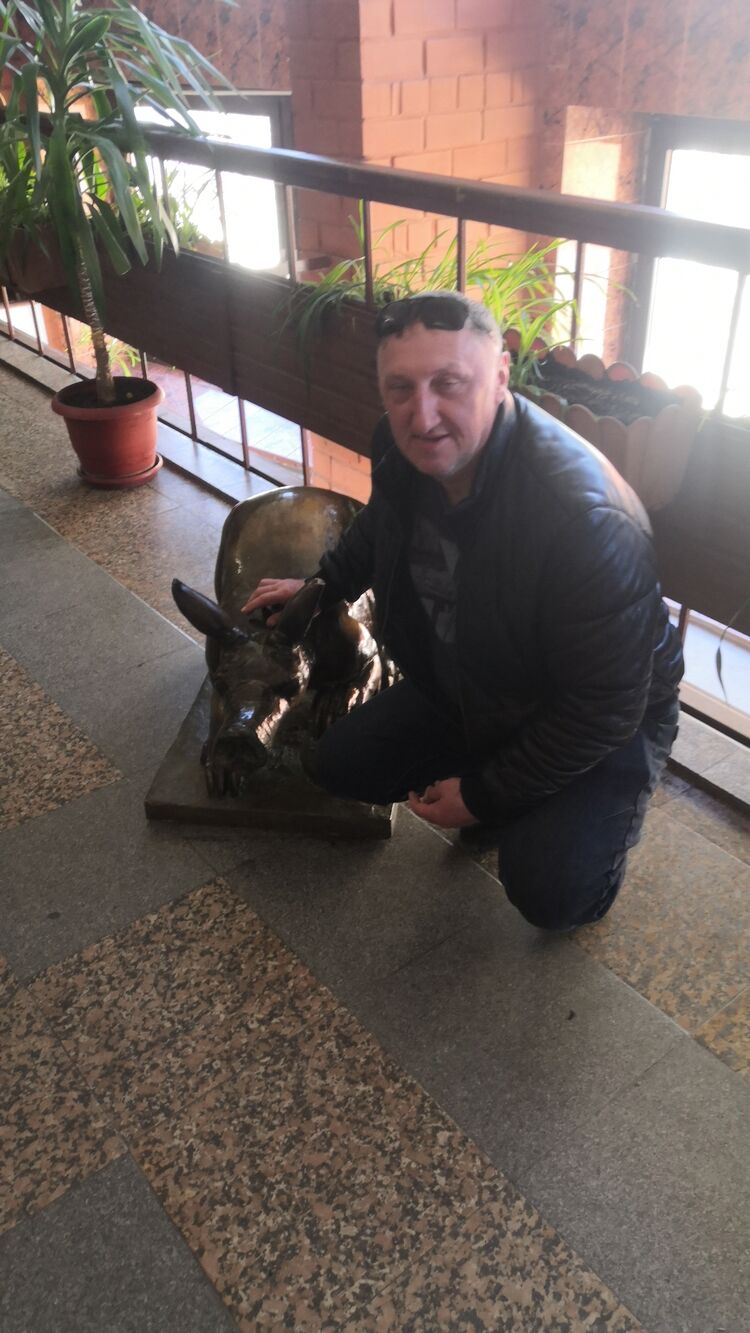  ,   , 50 ,   ,   
