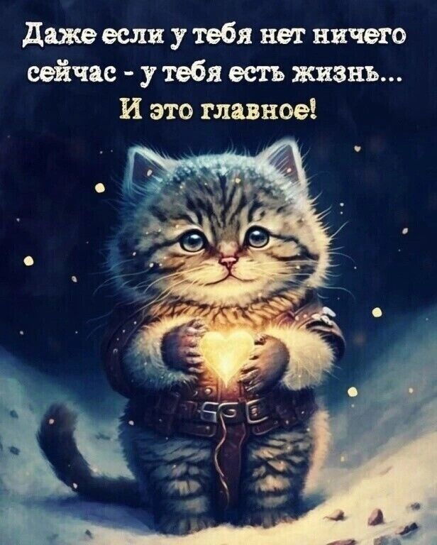 ���� 42102850 ������� ������, 44 ����, ���� ���������� � ������ ���������